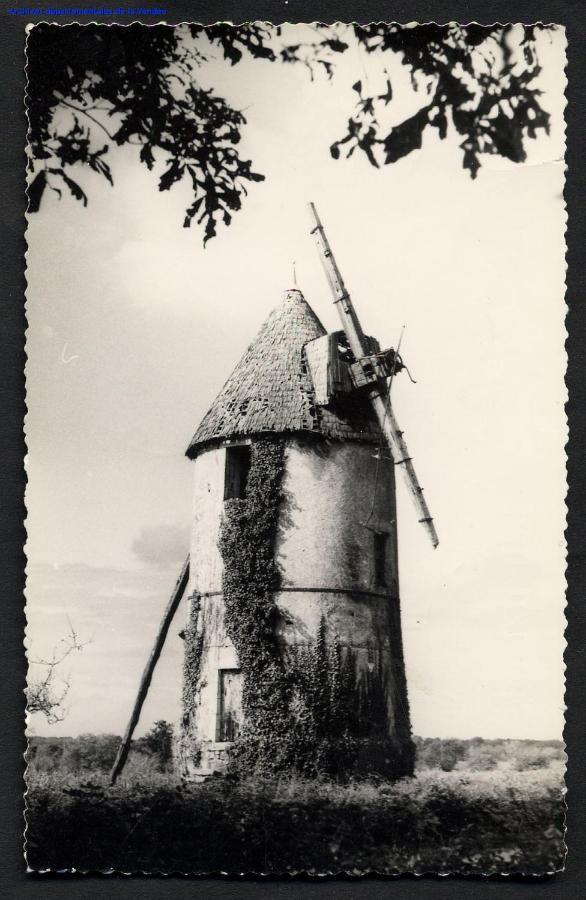 Moulin A Vent Le Champ Du Trail Villa Saint-Cyr-des-Gats Екстериор снимка